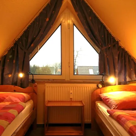 Seepferdchen זינקסט